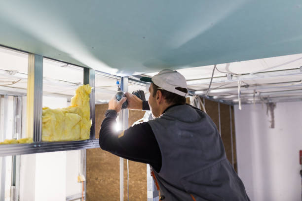 Best Eco-Friendly Insulation in Elroy, WI