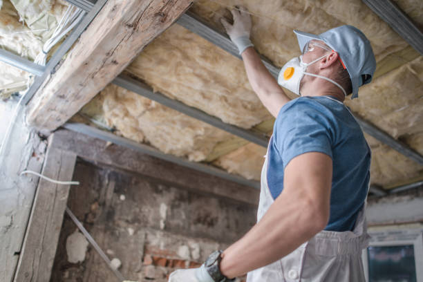 Best DIY Insulation Kits and Guidance in Elroy, WI