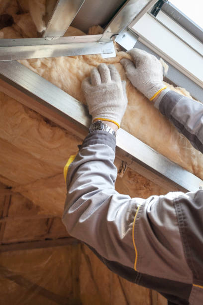 Best Fiberglass Insulation in Elroy, WI