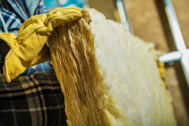 Best Residential Insulation in Elroy, WI